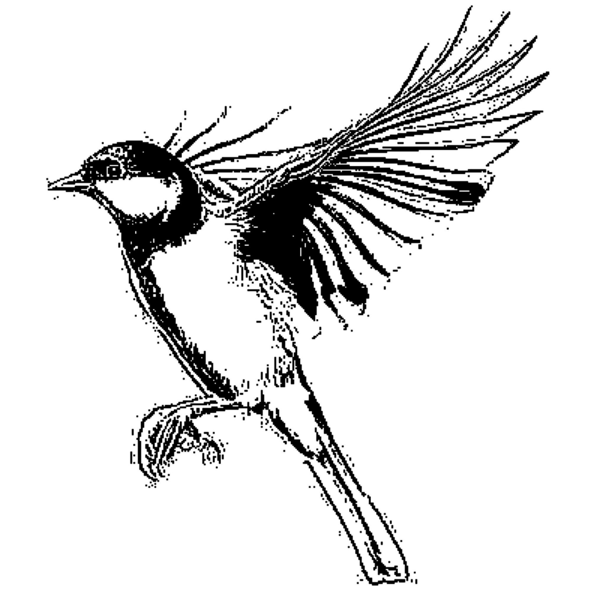 votre avatar votre avatar